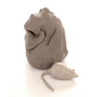 Air Hardening Clay Stone 12.5Kg