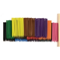 CM Plastic Crayons Pack 24