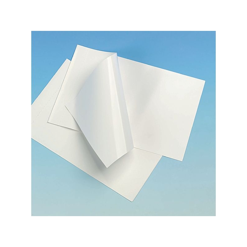 Classmates Pouch Carriers - A4 Pk10