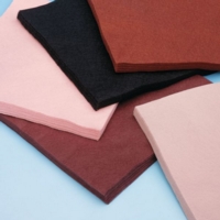 Multicultural Felt 225mm Pack 50