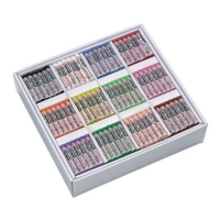 Pastel Jnr Artist Classpack432