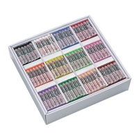 Pastel Jnr Artist Classpack432