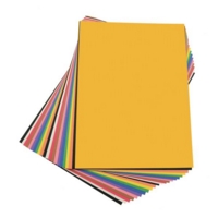 Spectra Construction Paper Ass