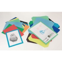 A4 Mount Paper Assorted Colours Pk100