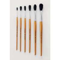 Schoolex Brushes Classpack 50