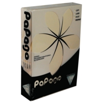 Xerox Coloured Paper A4 80g Ream Pastel Ivory Pk500