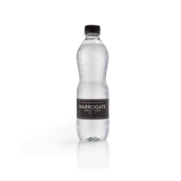 Radnor Hills Still Bottled Water 500ml (Pack 24) 201037