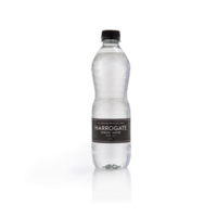 Radnor Hills Hills Still Bottled Water 500ml (Pack 24) 201037 DD