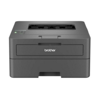 Brother HL-L2400DW Mono Printer