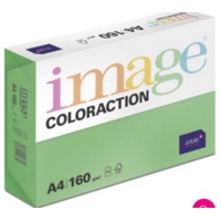 Coloraction Card 160gsm Deep Green (Dublin) A4 Pk250